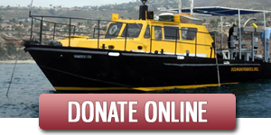 Donate Online