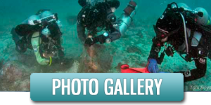 Photo Gallery