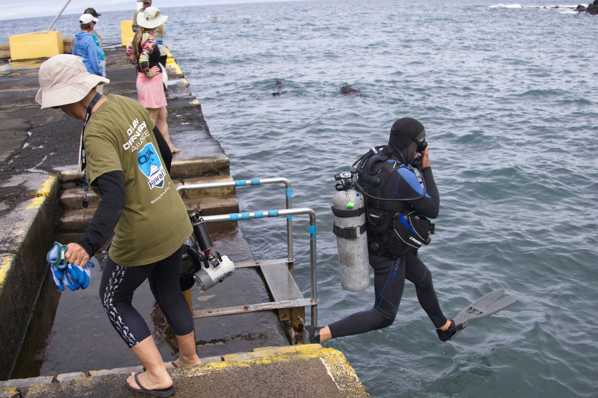 Ocean Defenders Divers splashing in