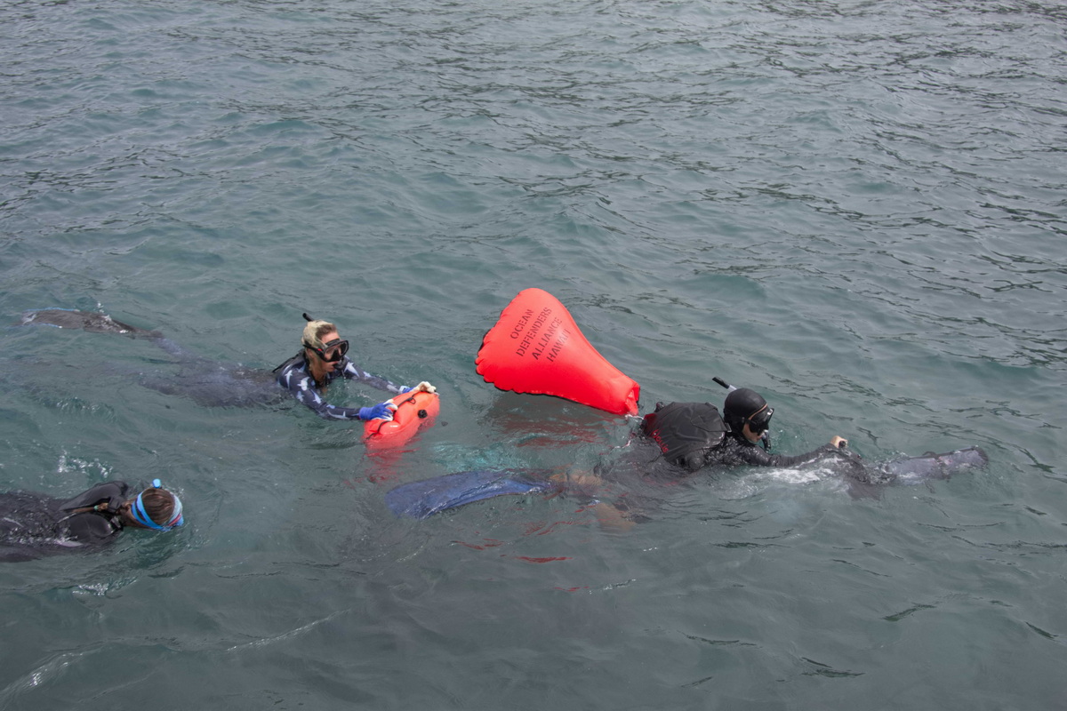 Lift bags at surface