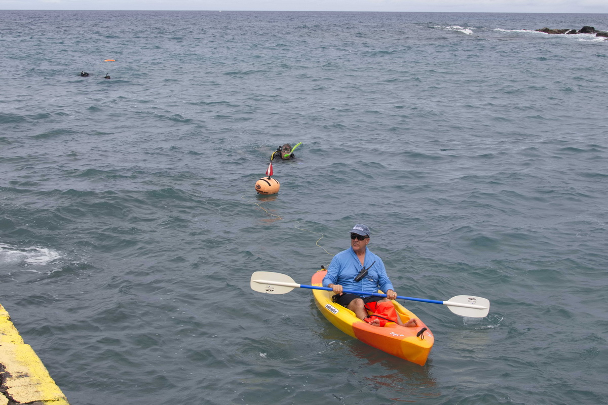 Kayak Don
