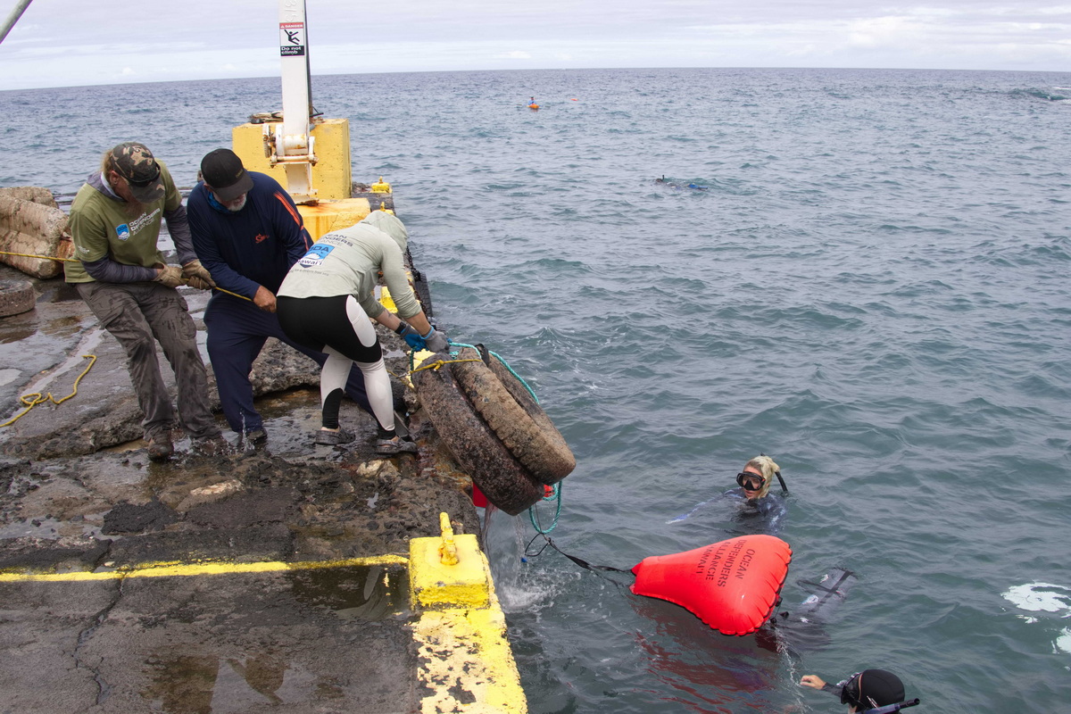 Crew hauling up tires onto the pier