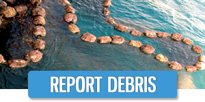 Report Debris