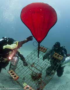 Divers lifting trap