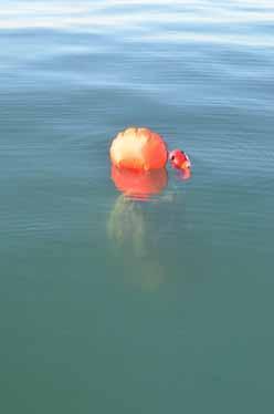 Lift bag with net in water alerts crew that there is debris to haul aboard
