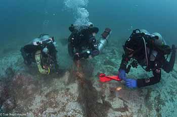 DA Volunteer Divers cutting away net from ocean floor