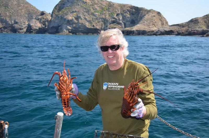 Kurt Lieber releases two lobsters that were trapped in cages!