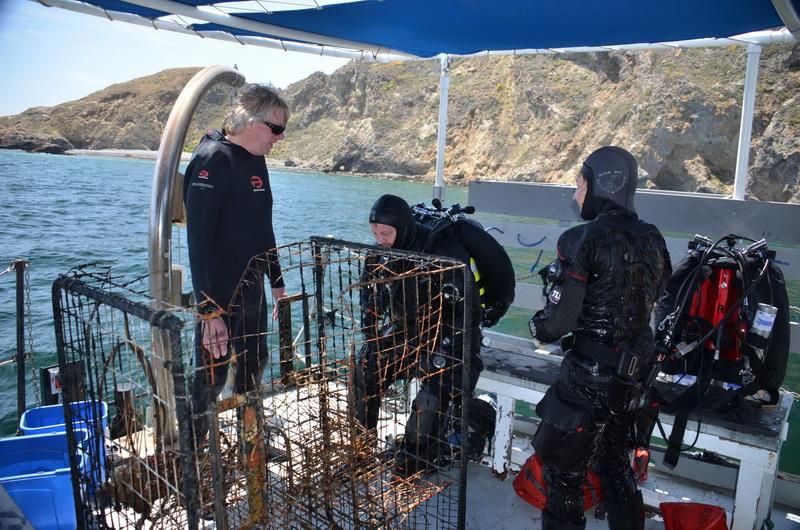 The abandoned lobster trap is safely removed from the sea and is on the boat's deck.