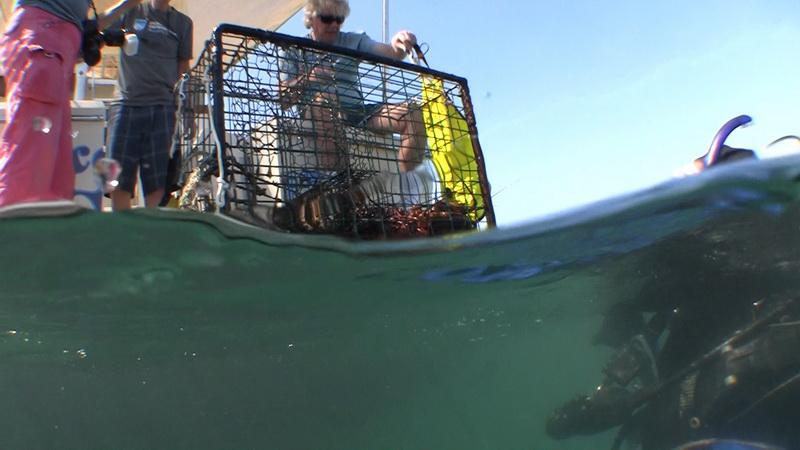 ODA Dive Team recovers abandoned lobster trap and hands it up to the crew on rear deck