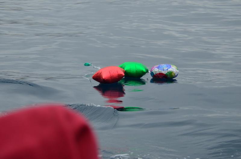 Mylar balloons pollute the ocean