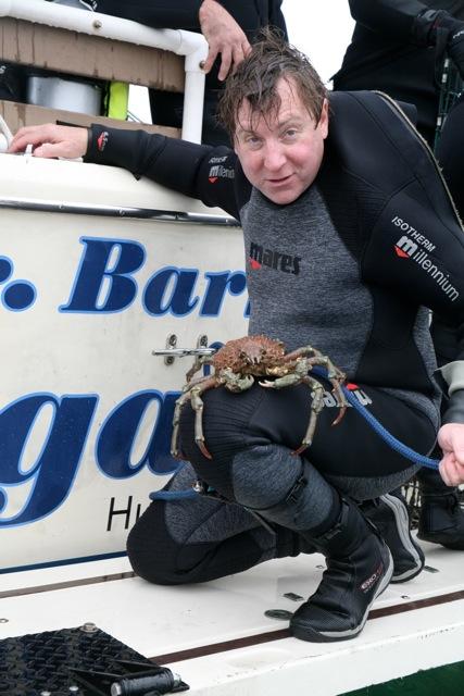 ODA Volunteer Diver Bob Nimmo releasing a crab