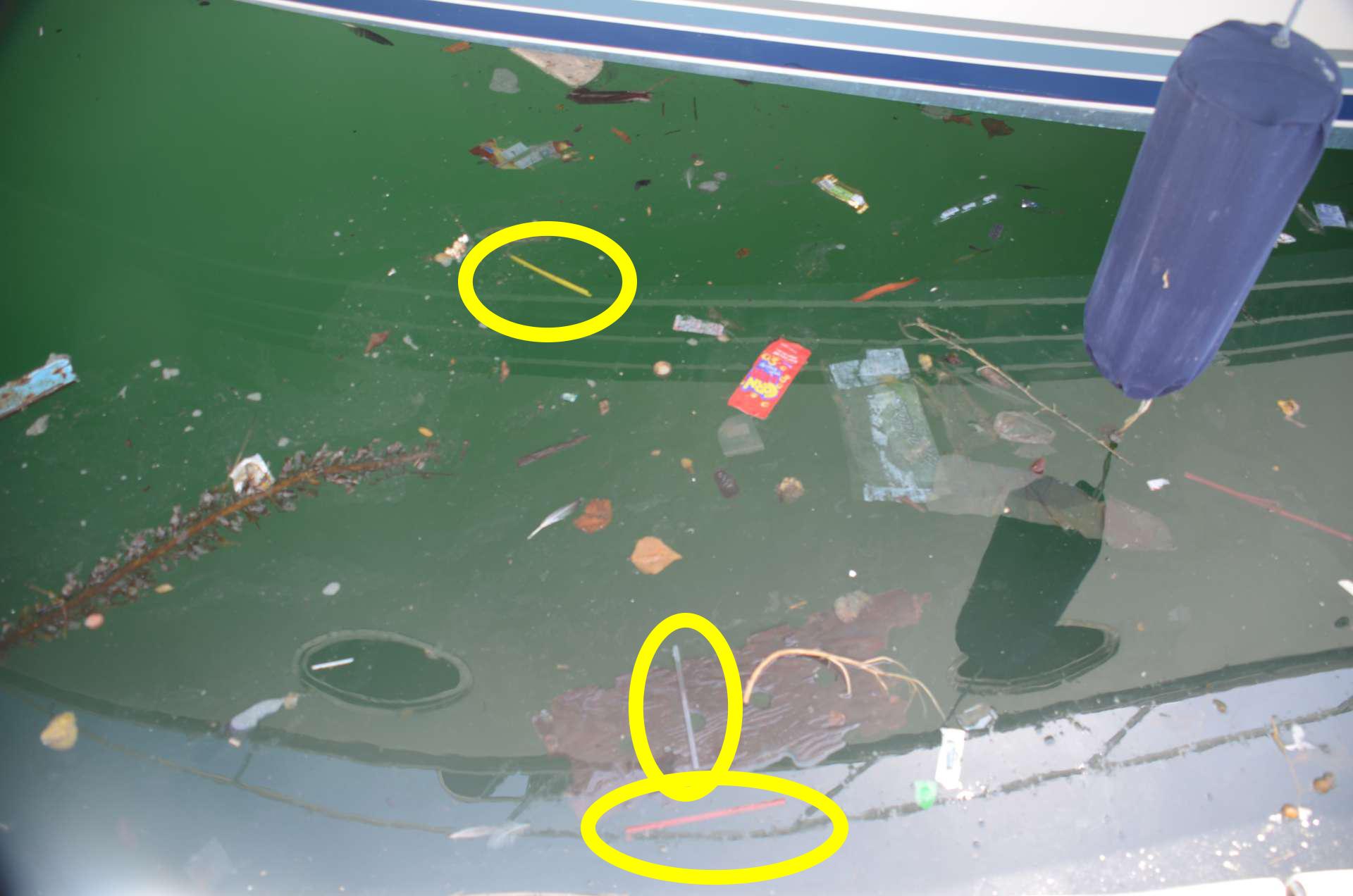 Ocean Defenders looks for plastic pollution in the ocean and removes it. See all the straws (in yellow circles)!