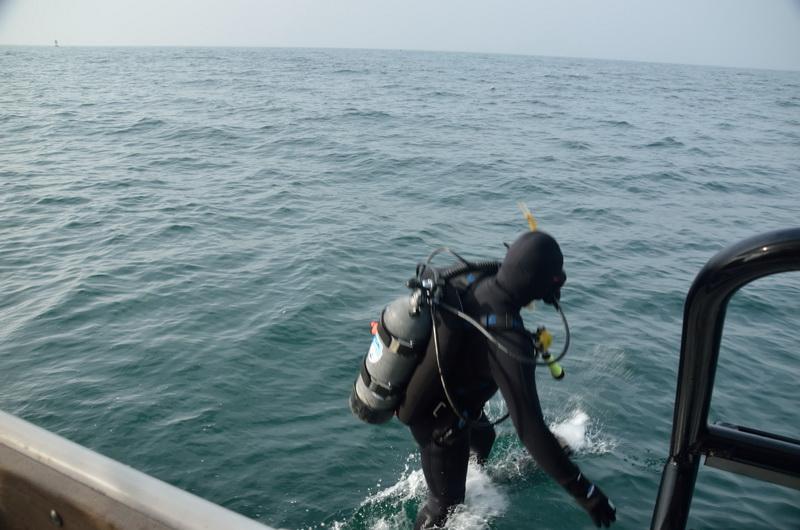 Ocean Defender Bob Walls makes the plunge