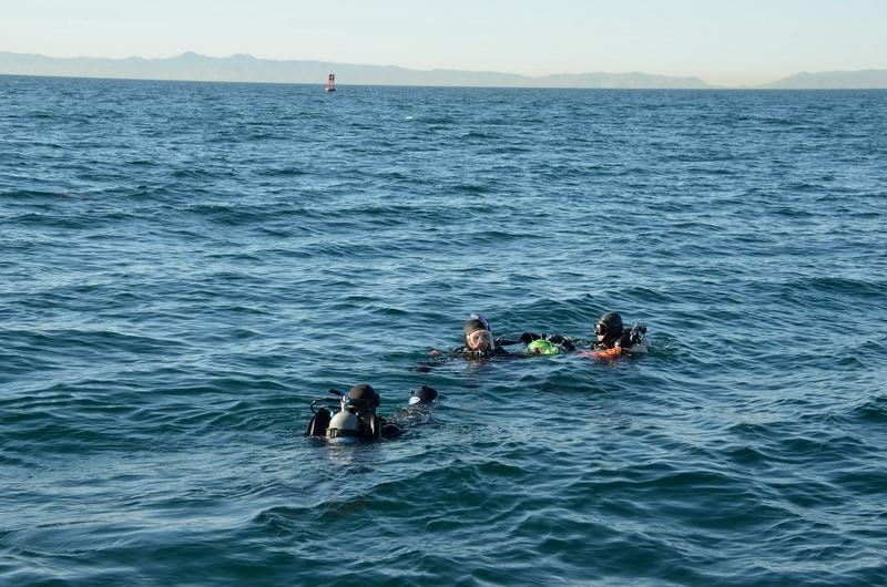 Ocean Defenders divers in water to retrieve ocean debris