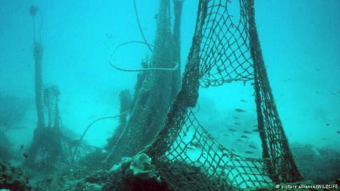 Once lost or set loose, these nets float or settle to the bottom—where they can kill for decades and longer!