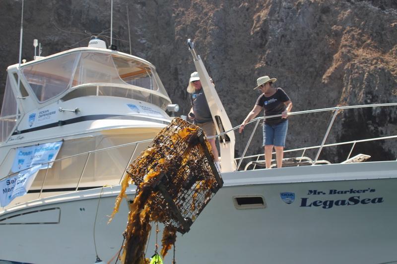 ODA Conservationists remove ghost gear