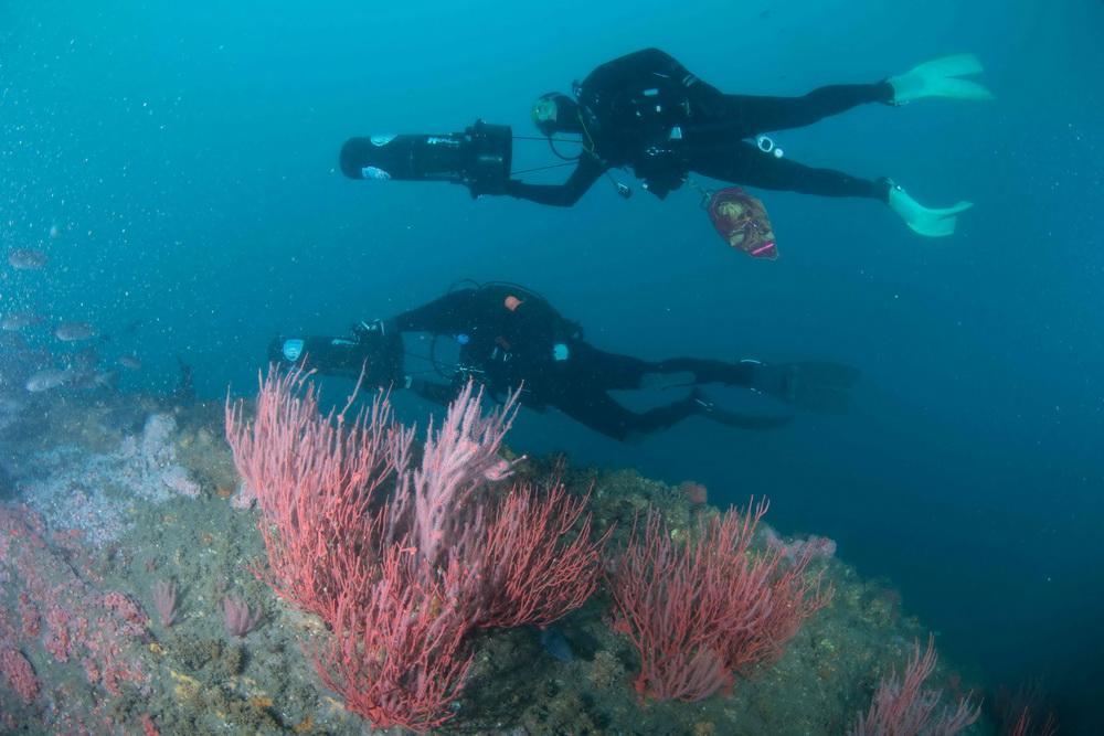 ODA Divers on scooters looking for marine debris