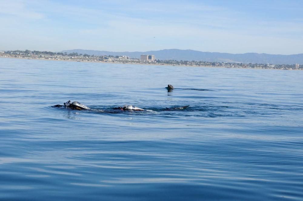 Sea Lion follows ODA SCUBA divers
