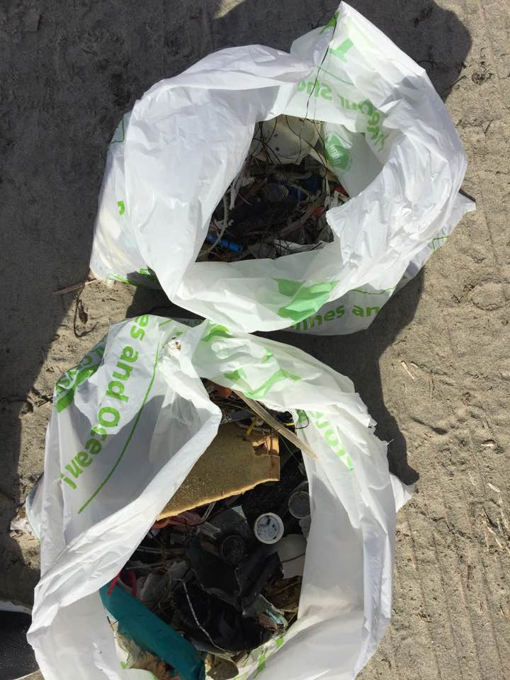 Trash removed from the beach by ODA Volunteers Cheryl and Marc McCarthy