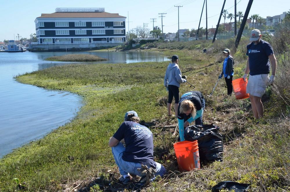 ODA volunteers cleaning coastline