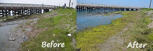 Before and after - clean Bolsa Chica Channel