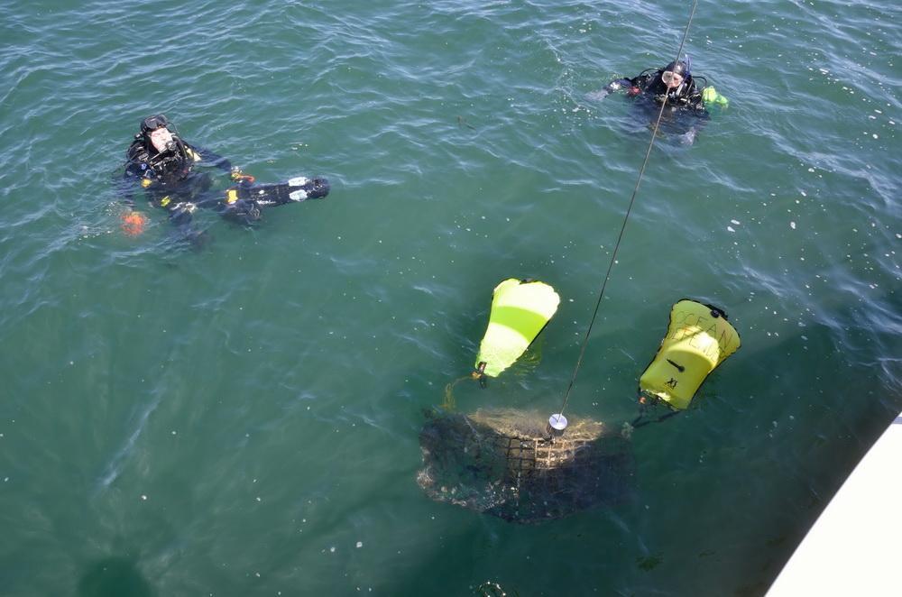ODA Divers Jeff n Al with trap to remove from ocean