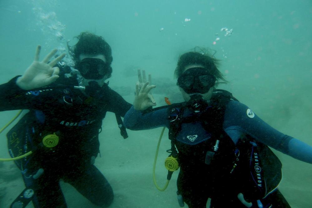 Ocean Defenders volunteer divers
