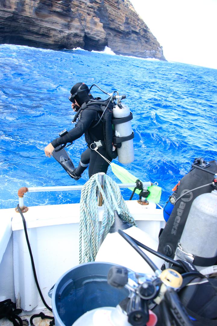 ODA-HI Diver jumping in to remove ghost gear
