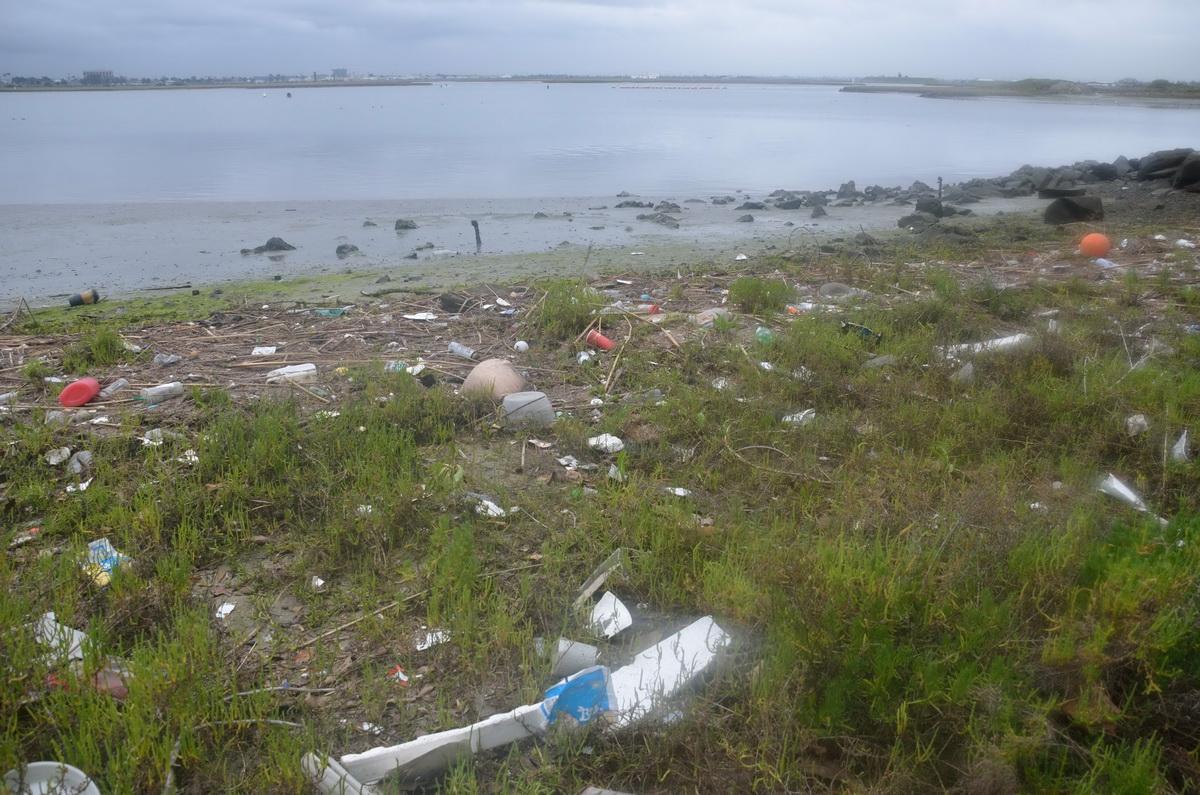 Plastics in Seal Beach Refuge