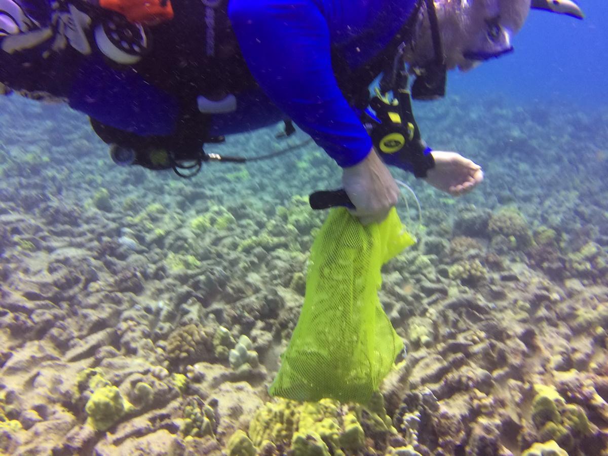 Diver above ocean floor