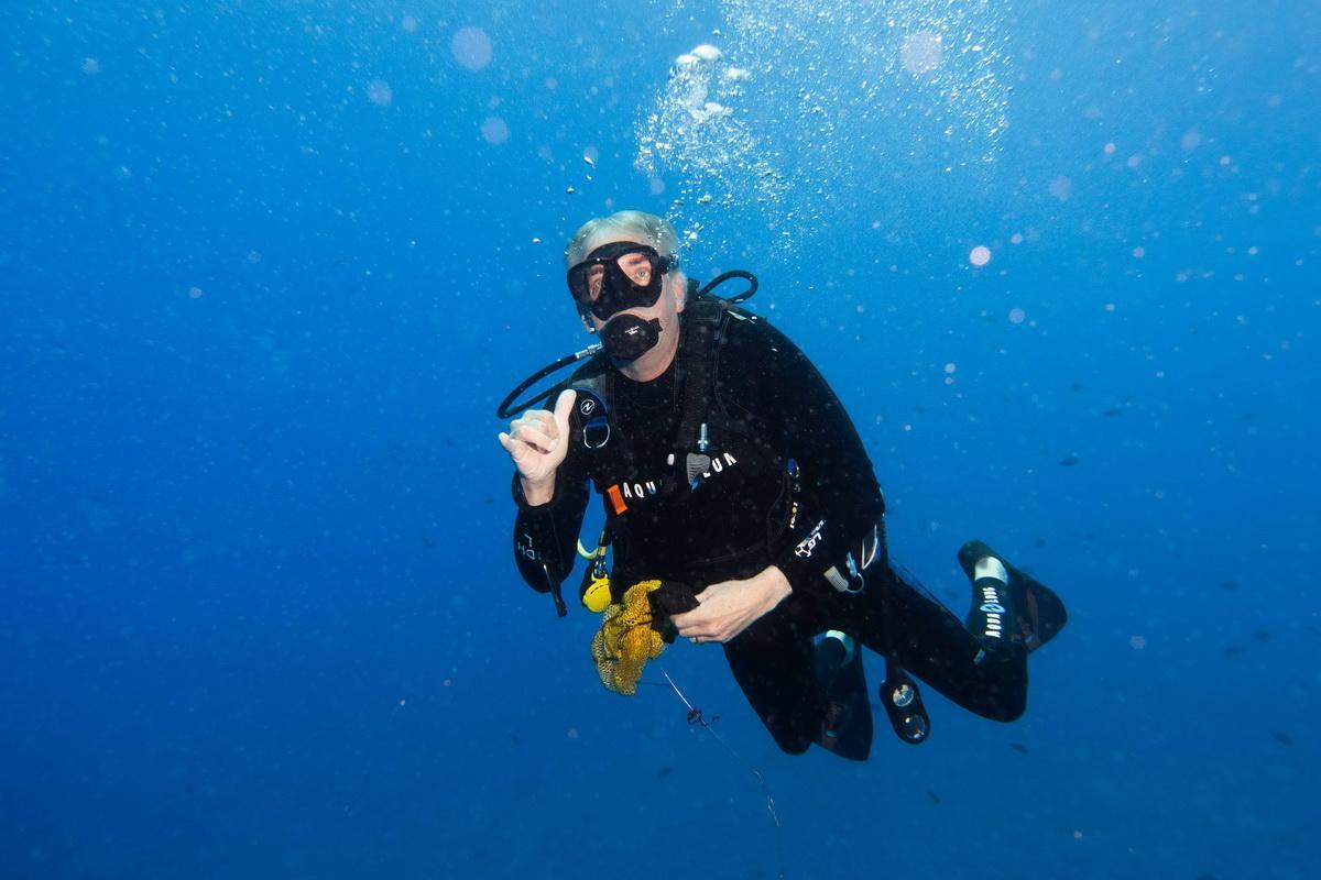 Dive safety check 
