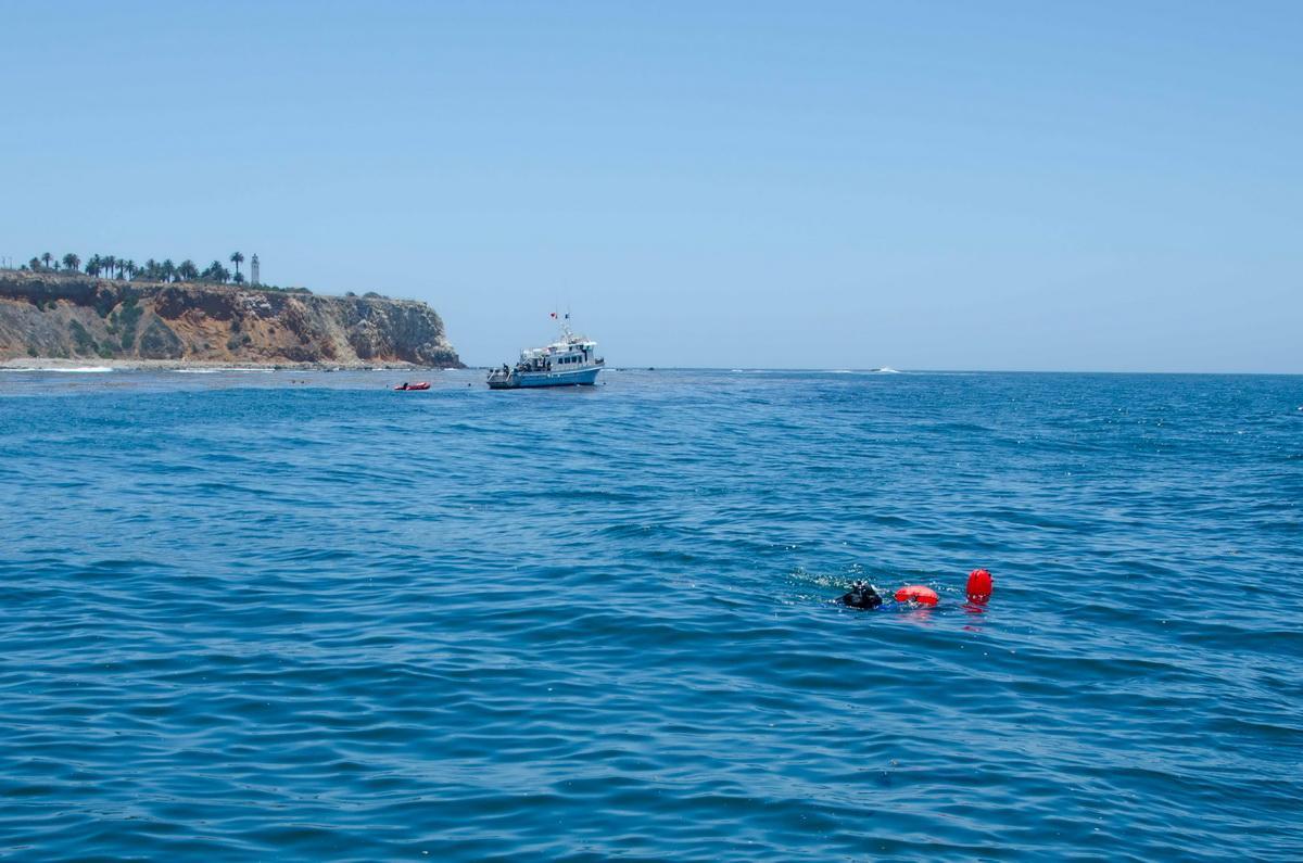 Lift bags bring ocean debris to surface