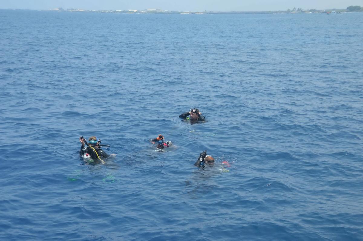 Ocean Defender Divers haul out abandoned fishing gear