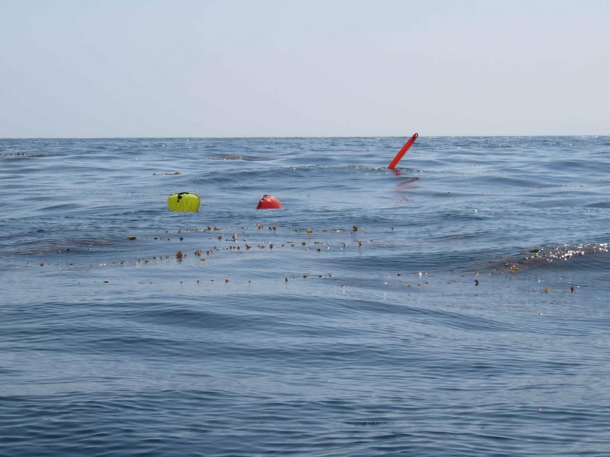 ODA Lift bags pull ocean debris to surface