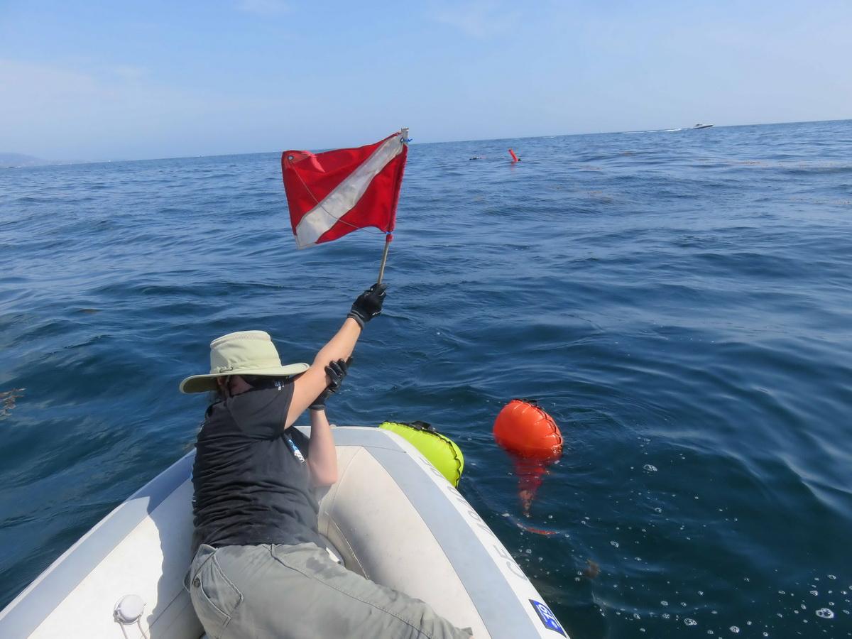 Red dive flag 
