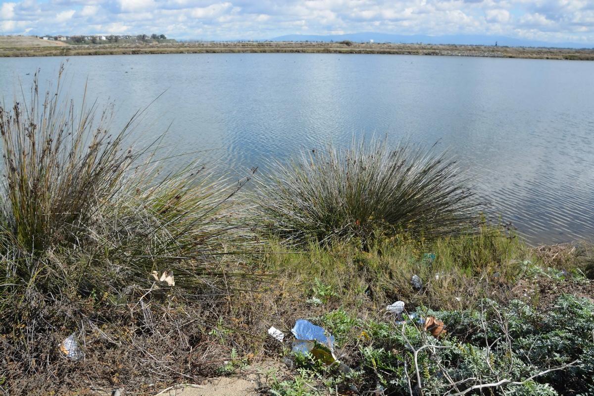 Bolsa Chica wetlands trash