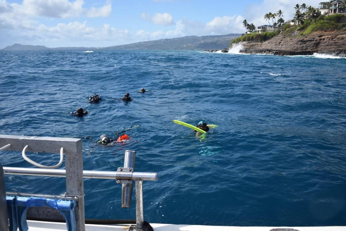 ODA-HI Divers in water