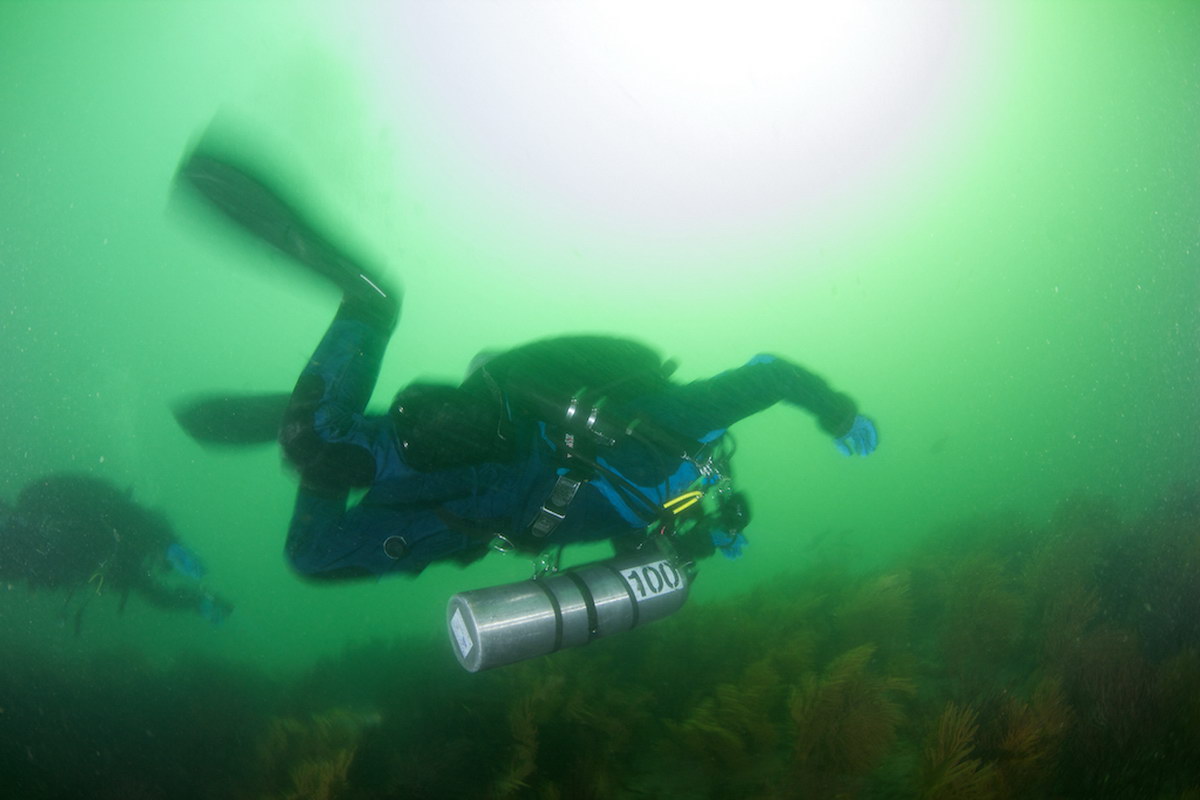 Diver action shot