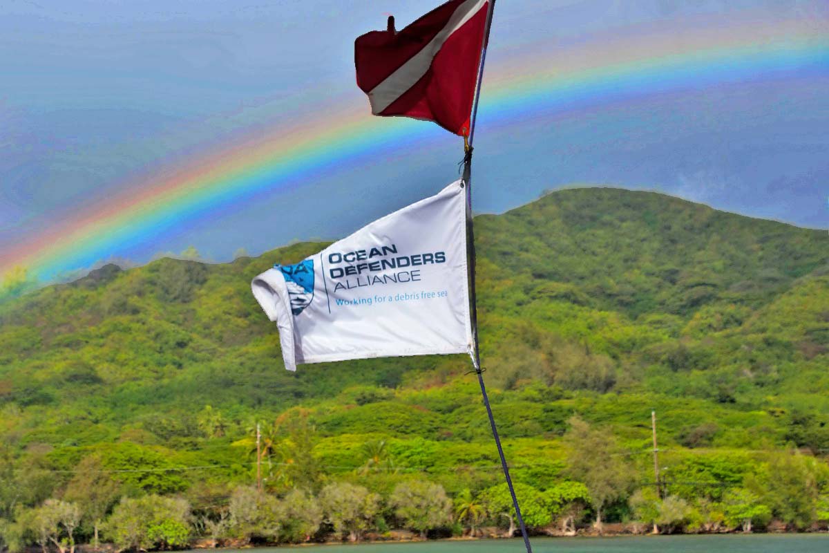 ODA flag with rainbow