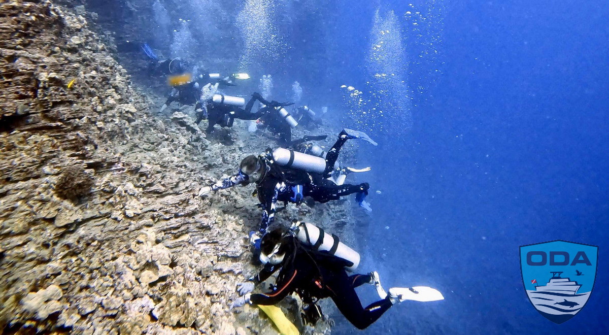 Team of SCUBA divers clean underwater cliff wall