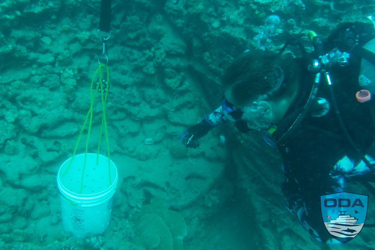 ODA Diver removing debris