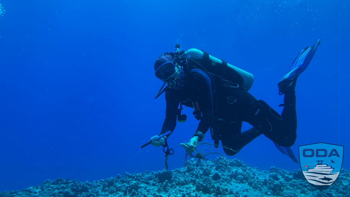 Diver Glenn Roberts removing line