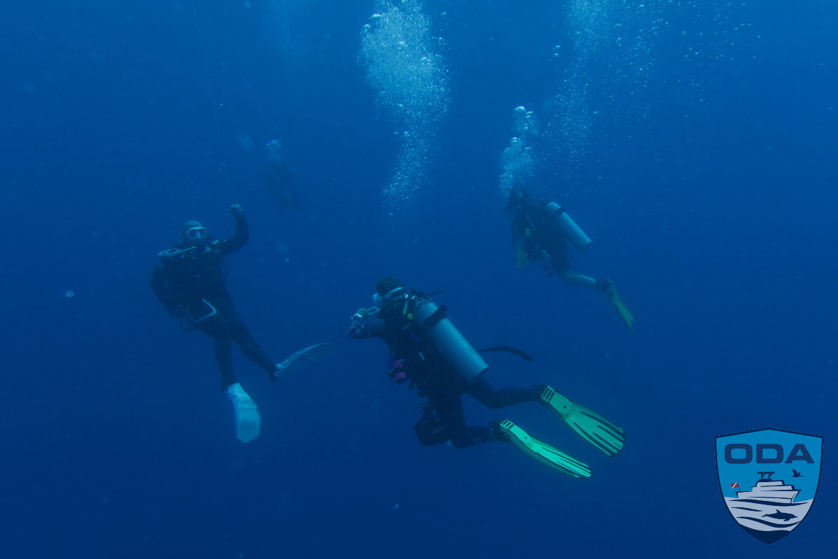 Divers at safety stop