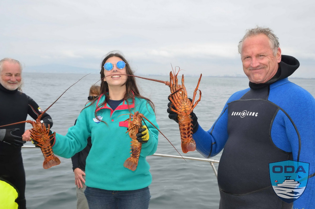 Volunteers Brooke and Bob help free lobsters