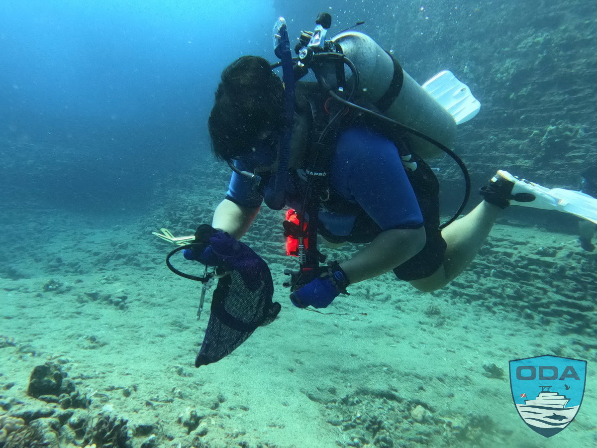 ODA volunteer diver cleaning the ocean waters