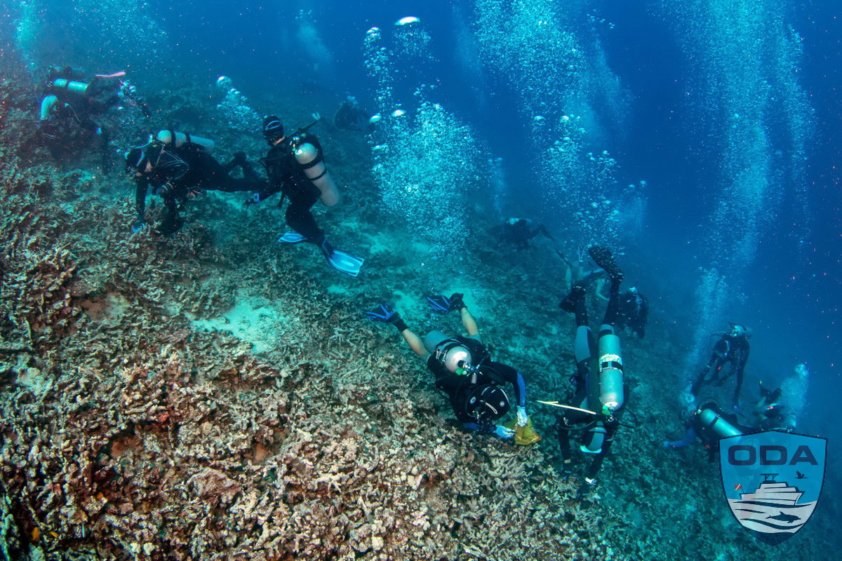 UW Divers removing line