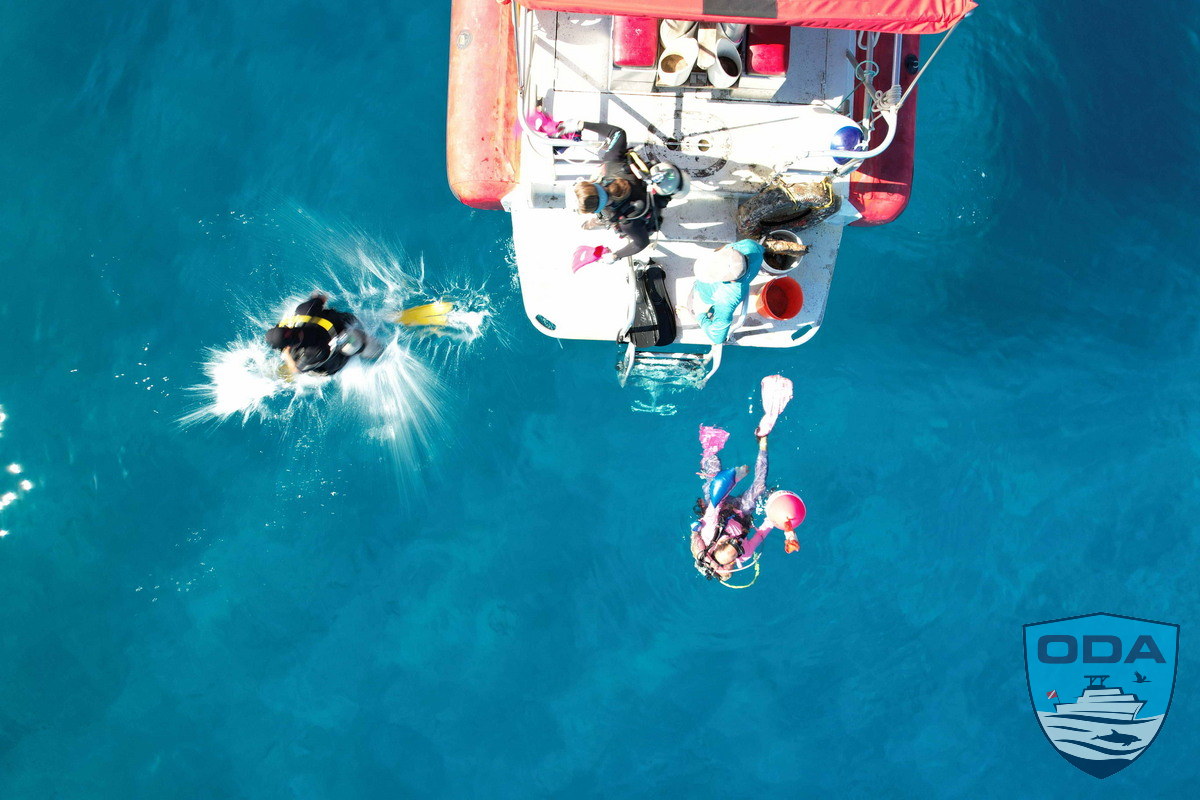 Divers entering the water for debris removal expedition