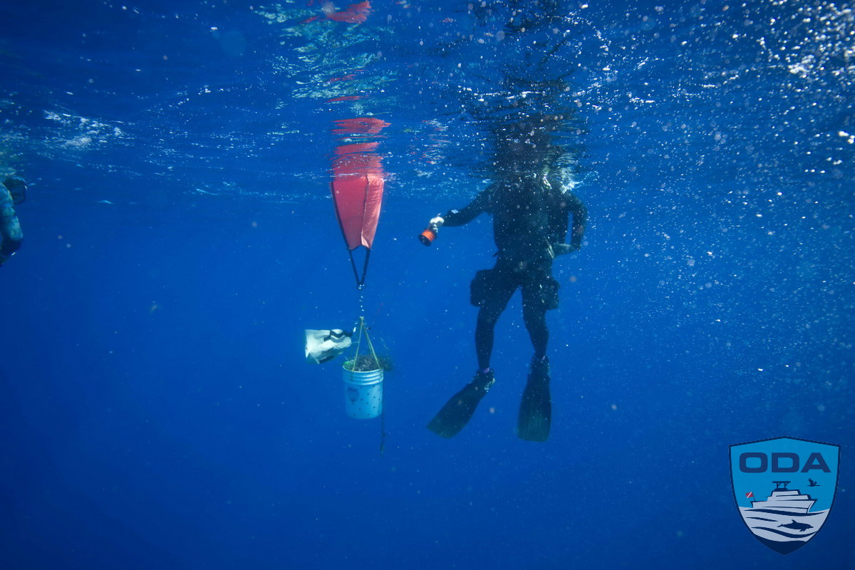Ocean Defender Divers use lift bags to send debris to the surface for removal