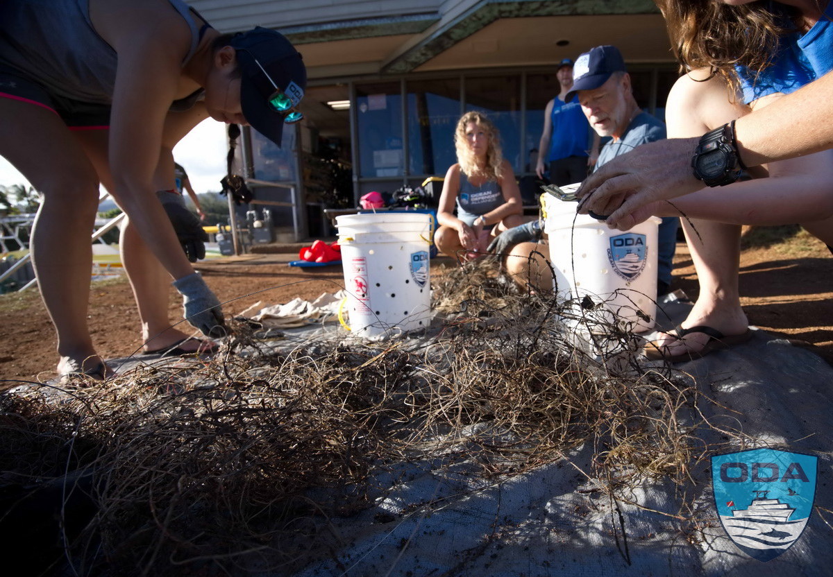 Ocean conservation crew separating debris pile