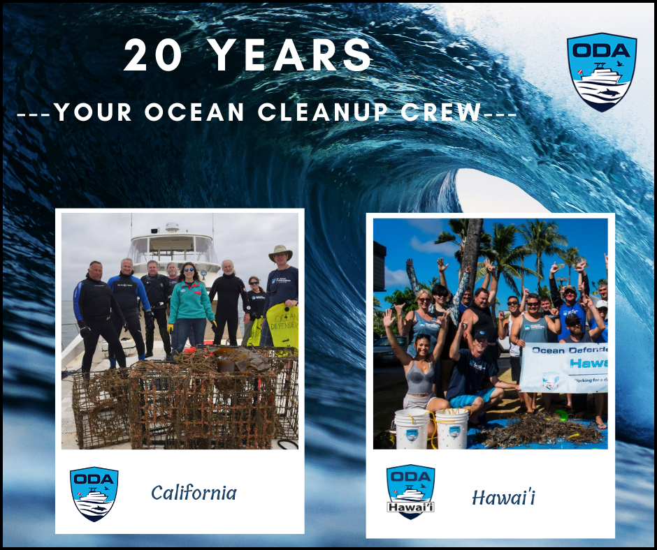 Twenty years ocean cleanup